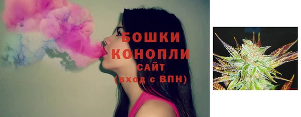 стаф Осташков