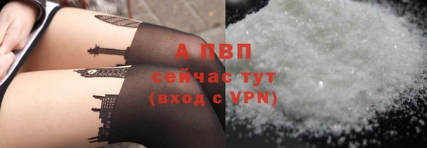 дурь Тавда