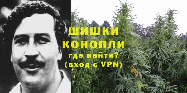 стаф Осташков