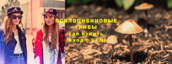 мет Осинники