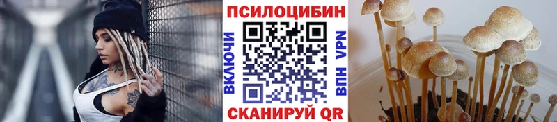 MEGA ONION  Кодинск  мориарти официальный сайт  Псилоцибиновые грибы GOLDEN TEACHER 