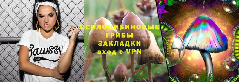 Псилоцибиновые грибы Psilocybe  OMG зеркало  Кодинск  как найти закладки 